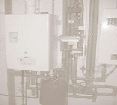 wp93eec976_0f.jpg